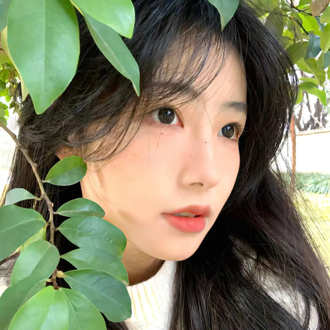 黑猫重案组
