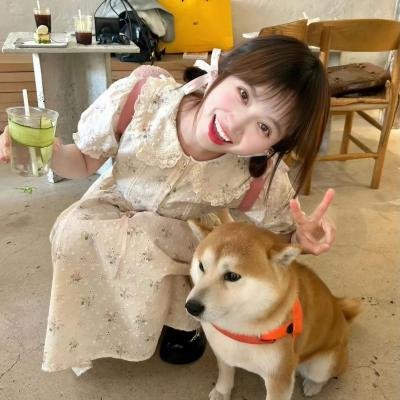 热播剧集